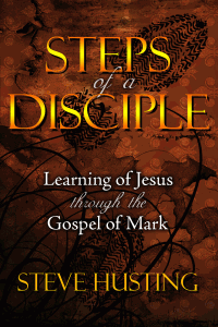 Steps of a Disciple opening screen