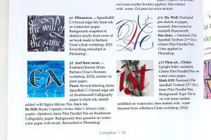 I gave a brief “bio” of each artwork with a 2-page colophon near the back of the book